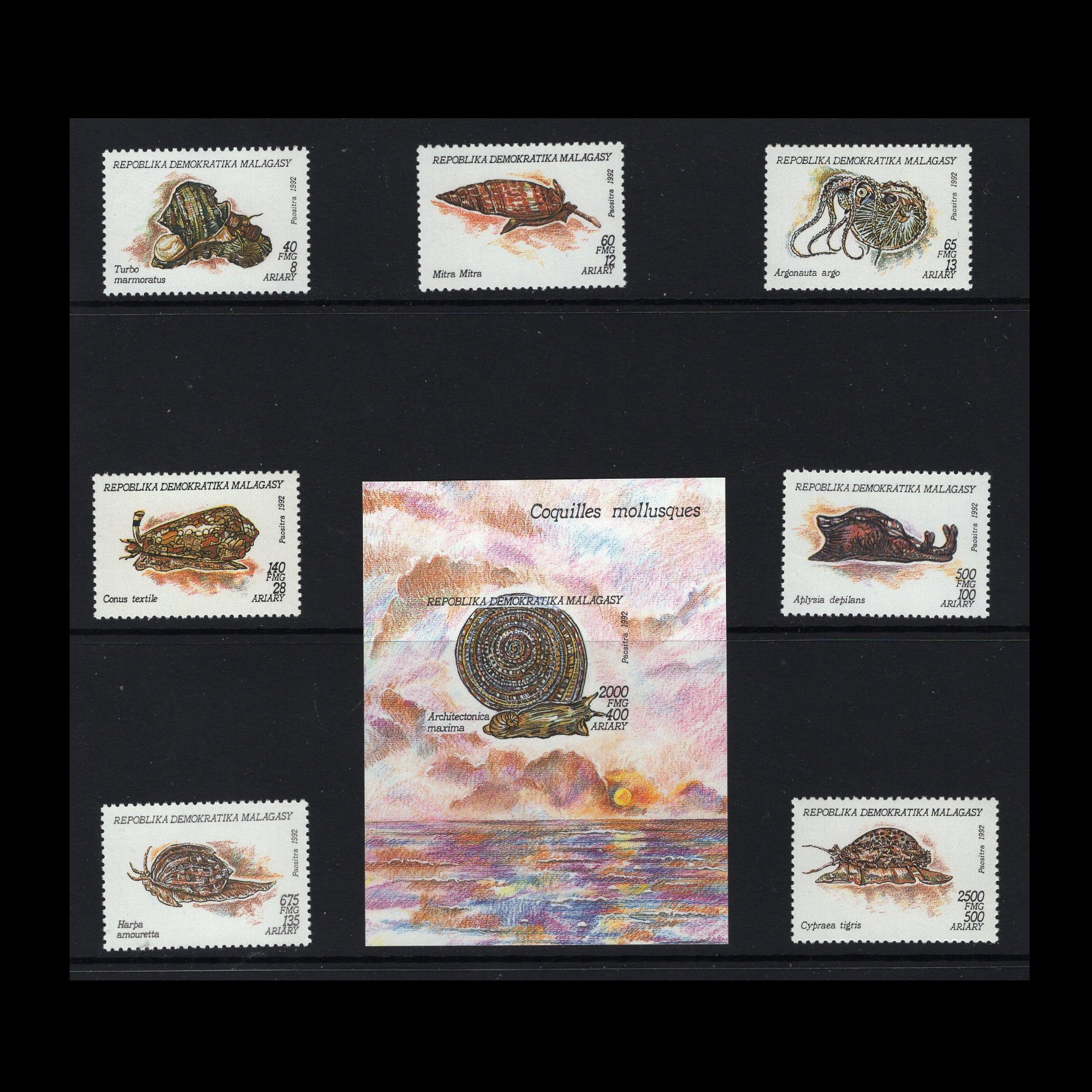 แสตมป์มาลากาซี ชุด MOLLUSKS+1 ชีต ปี 1992 - MALAGASY