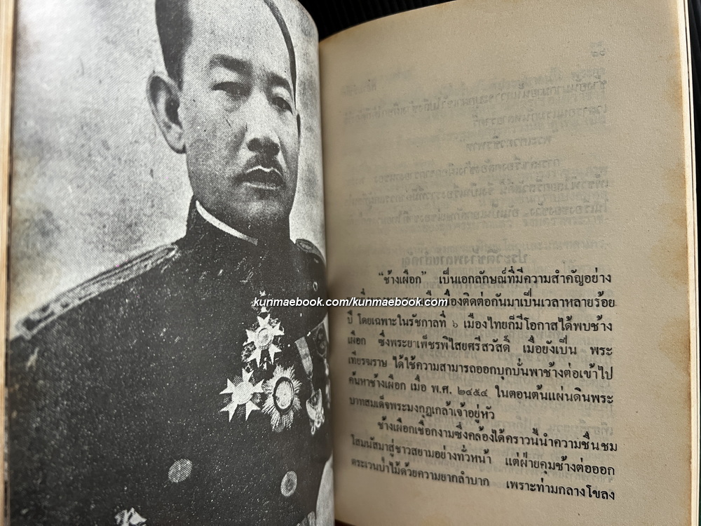 สยามรำลึก ผลงานของ ชาลี เอี่ยมกระสินธุ์