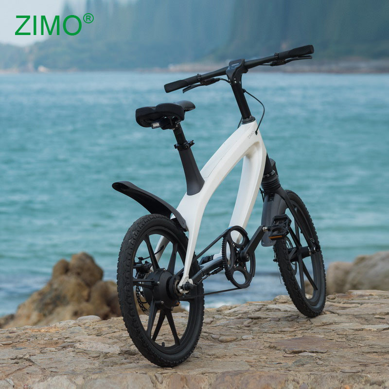 ZIMO X2 Pedal Assist Electric Bicycle Motor 240W/36V 4.4AH Li-ion Battery LG