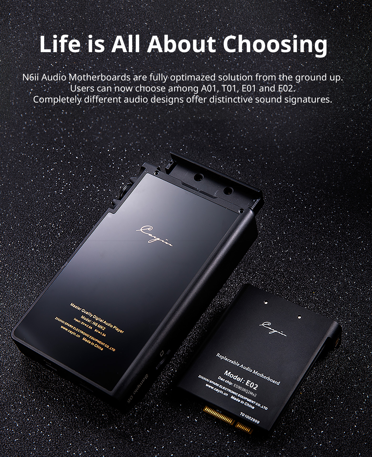 ขาย Cayin E02 ภาคแอมป์ module E02 ของ Cayin n6ii