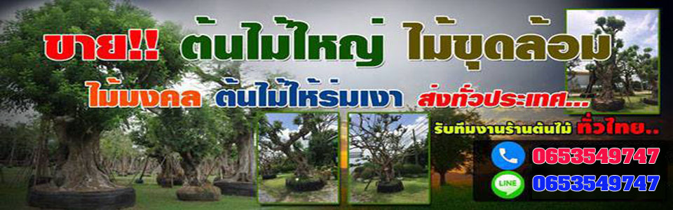 ร้านต้นไม้มงคล