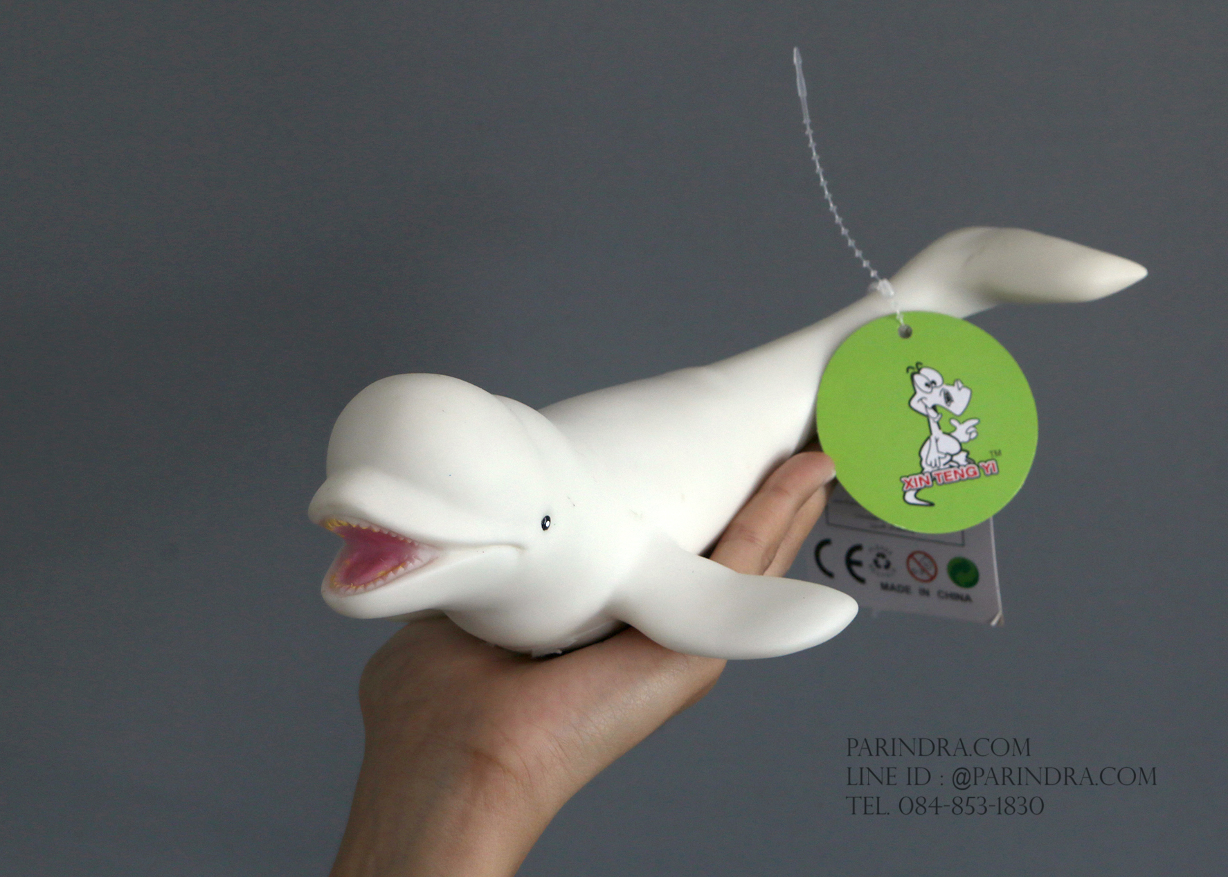 โมเดลปลาวาฬ เบลูก้า Beluga whale ขนาด 1 ฟุต