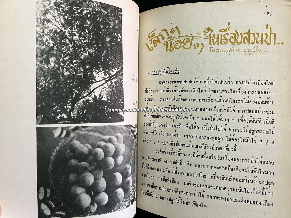 วารสารกองทำไม้ภาคเหนือ *ภาพปกปางแม่ปาย ปีที่ 12 ฉบับประจำปี พ.ศ.2516