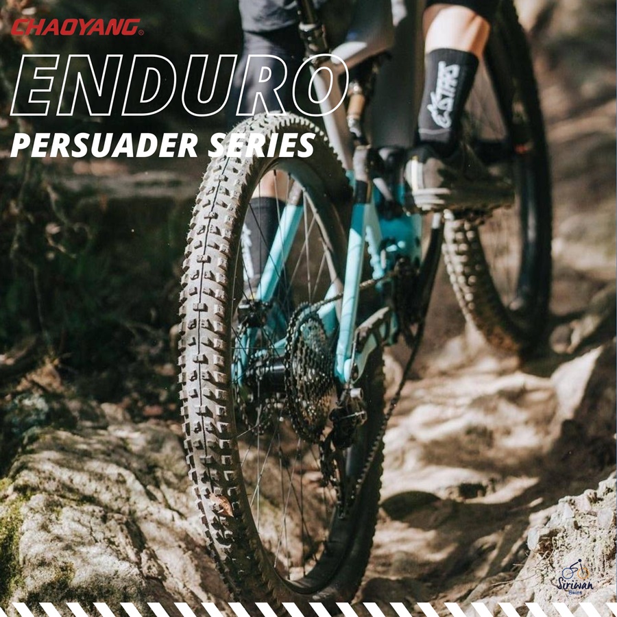 ยางนอกขอบพับ CHAOYANG : ENDURO PERSUADER, H-5242/H-5242TR ขอบพับ