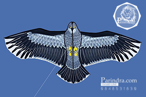 ว่าวนกอินทรีย์ ต่างประเทศ ขนาดปีก 1.5 เมตร น่าเล่นครับ