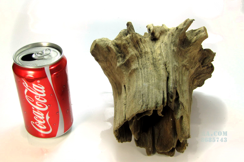 ขอนไม้ ตอไม้ สำหรับตกแต่งตู้ปลา