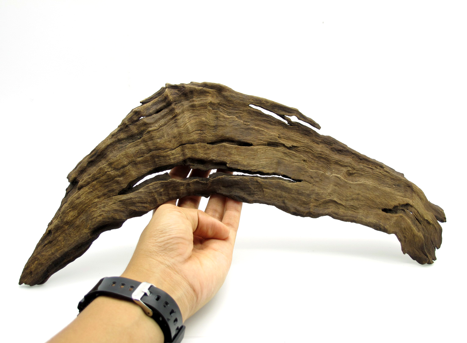 ขอนไม้ตกแต่งตู้ปลาหรือใช้เลี้ยงสัตว์เลื้อยคลาน 054