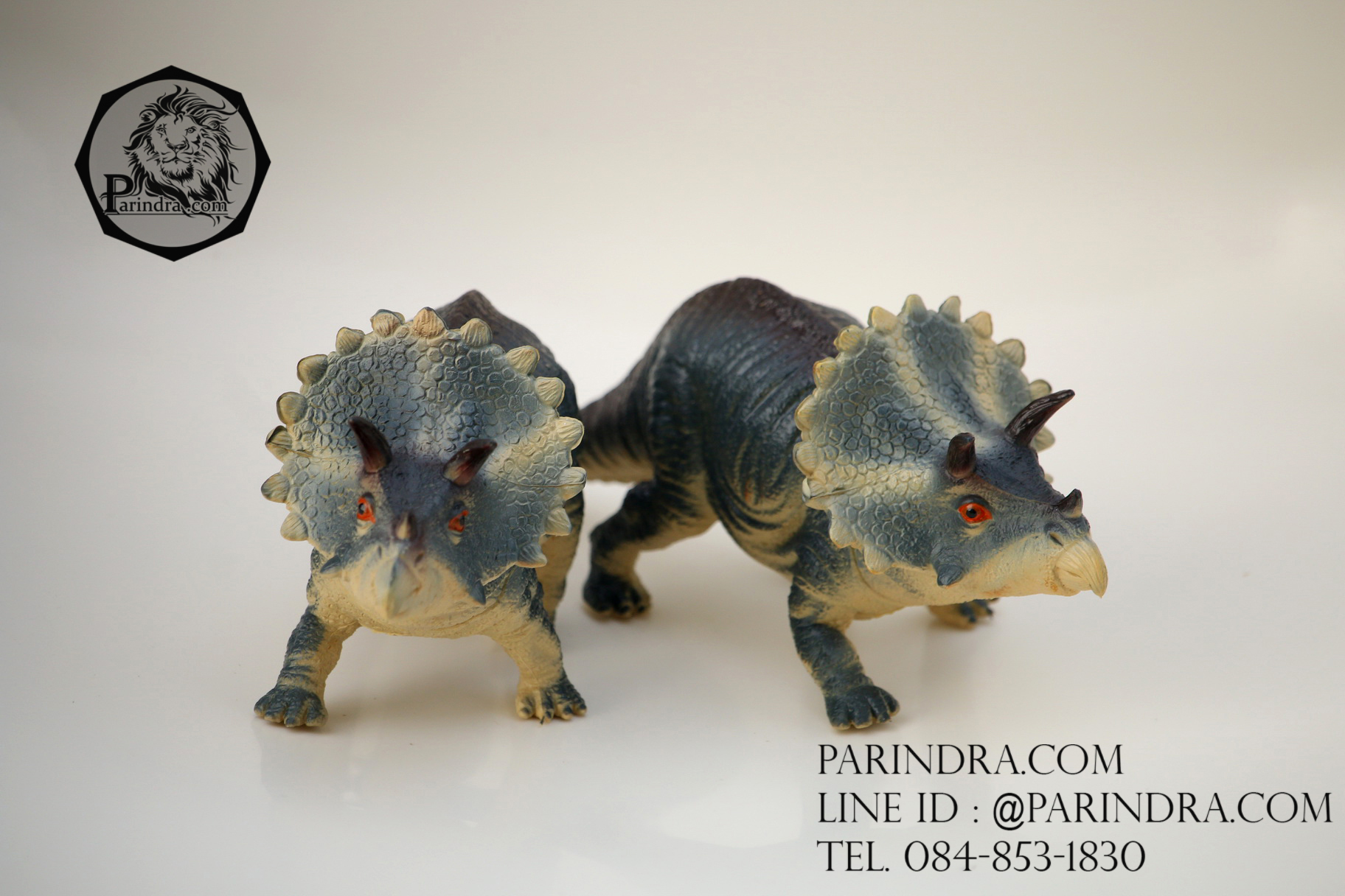 โมเดลไดโนเสาร์ Triceratops (ไตรเซอราท็อปส์)