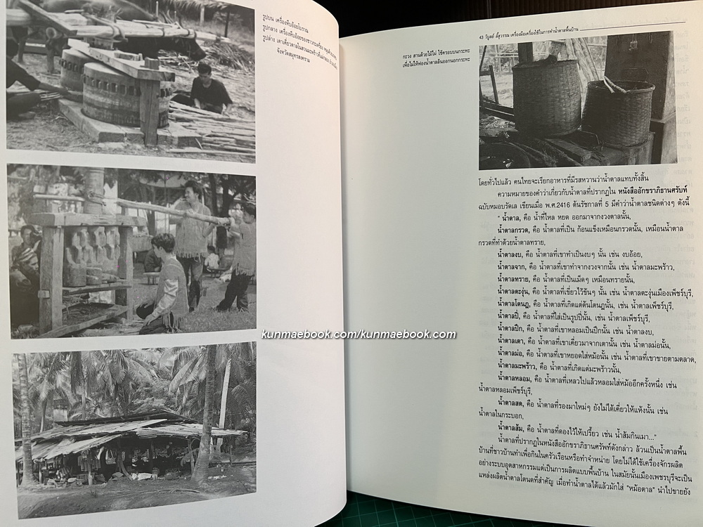 สหวิทยาการของอ้อยและน้ำตาล : ประวัติการผลิตน้ำตาลจากอ้อยในประเทศไทย