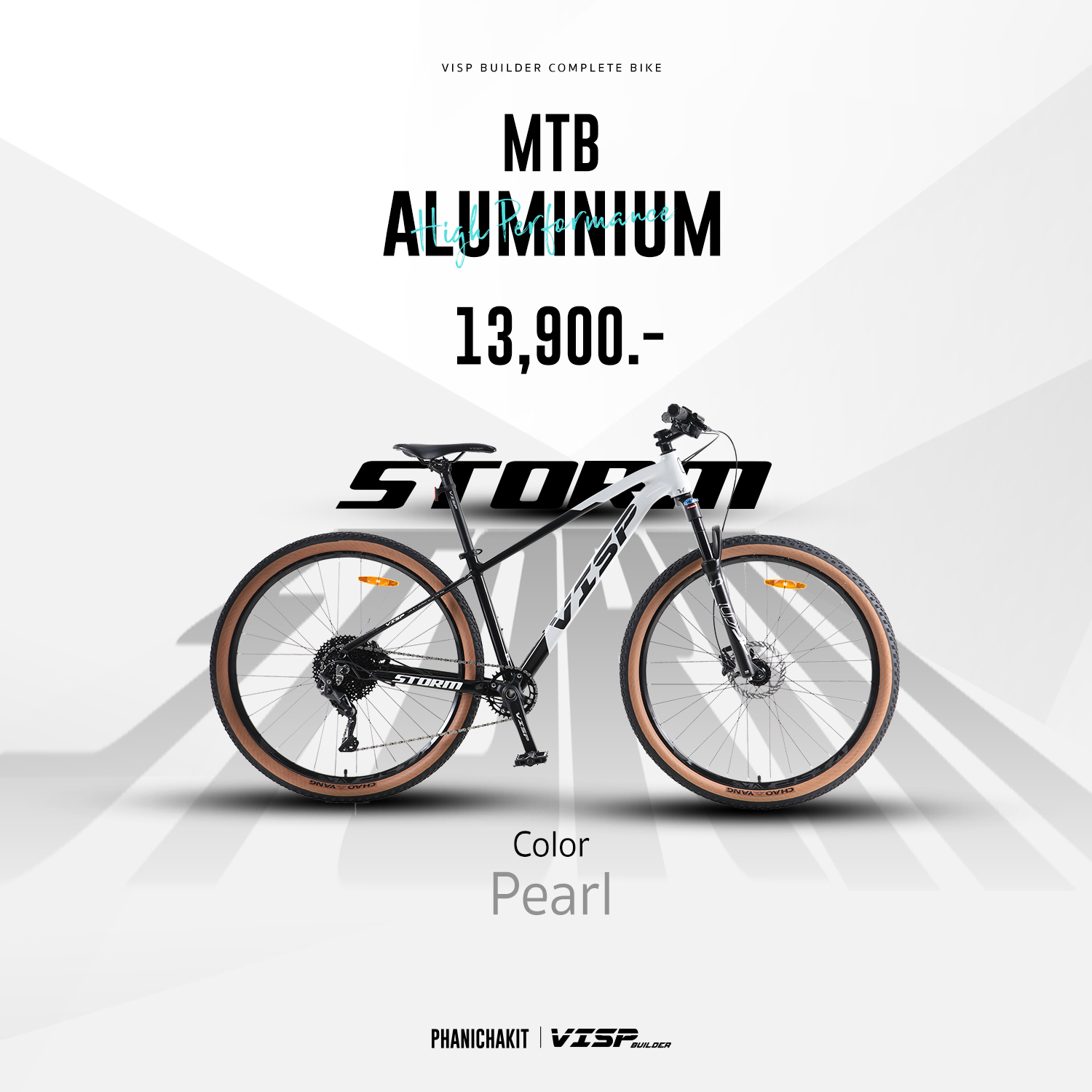 จักรยานเสือภูเขา VISP BUILDER STORM 29" Shimano DEORE 10 SP 2022 เฟรมอลู