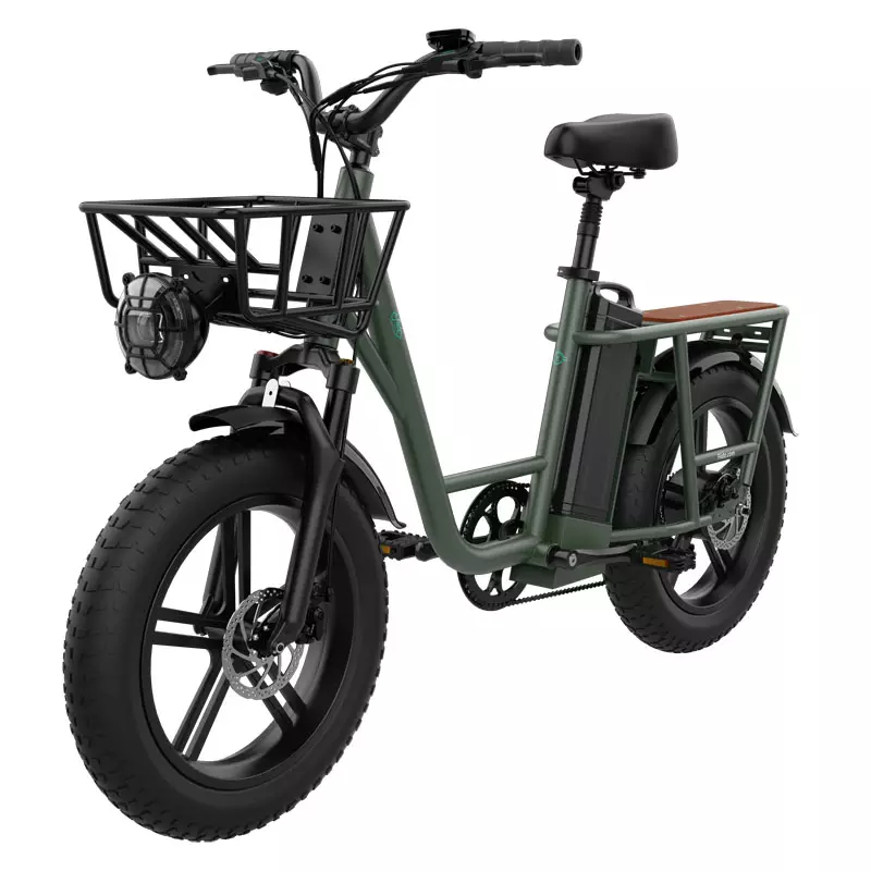 จักรยานไฟฟ้า Fiido T1 CARGO Utility Electric Bike Fat tires เกียร์ 7สปีด แรง 750วัตต์ ล้อ 20นิ้ว