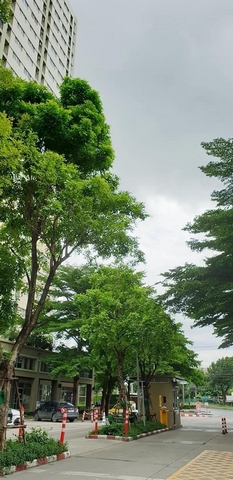 ให้เช่าคอนโด ลุมพินี ทาวน์ รามอินทรา-นวมินทร์ ตึก D 25 ตรม.เฟอร์ครบ ใกล้รถไฟฟ้า