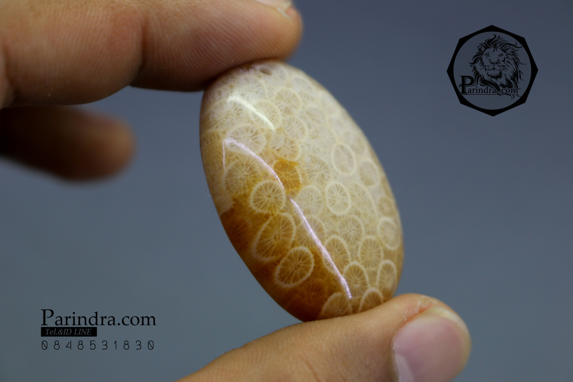 ฟอสซิลหินปะการังขัด Fossil Coral ใหญ่และหนา สำหรับห้อยคอ หรือ พวงกุญแจ คัดสวยพิเศษ #CRF013