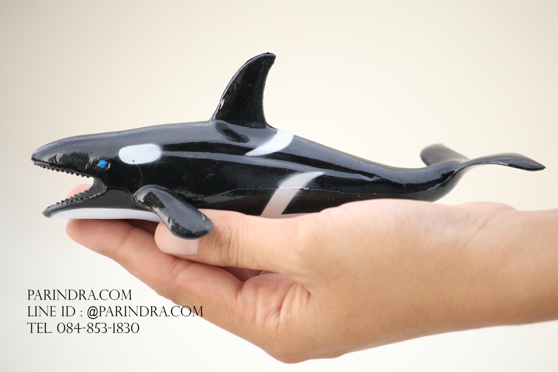 โมเดลสัตว์ทะเล ชุด Ocean World กลุ่มปลาฉลามหลากหลายสายพันธุ์