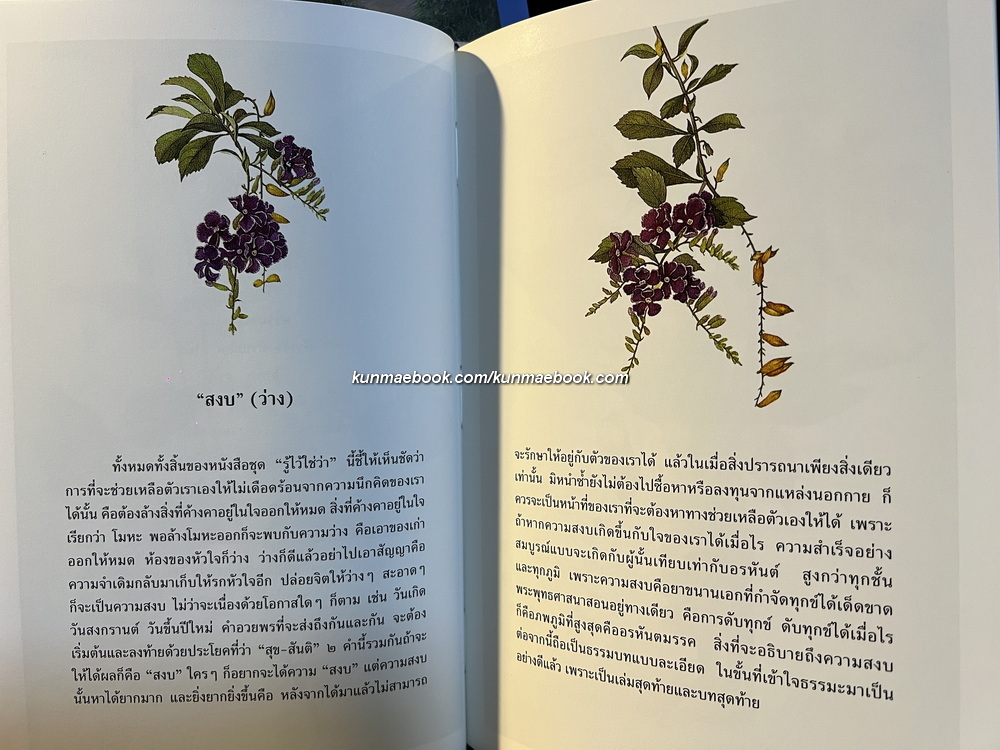 รู้ไว้ใช่ว่า ( 4 เล่ม Boxset ) กัลยาณี ลี้อิสระนุกูล เขียน