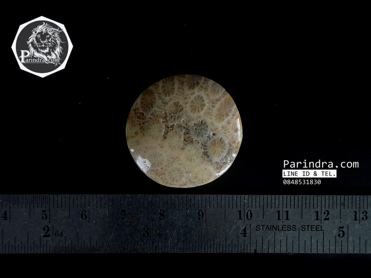 ฟอสซิลหินปะการังขัด สำหรับห้อยคอ หรือ พวงกุญแจ คัดสวยพิเศษ #CRF006