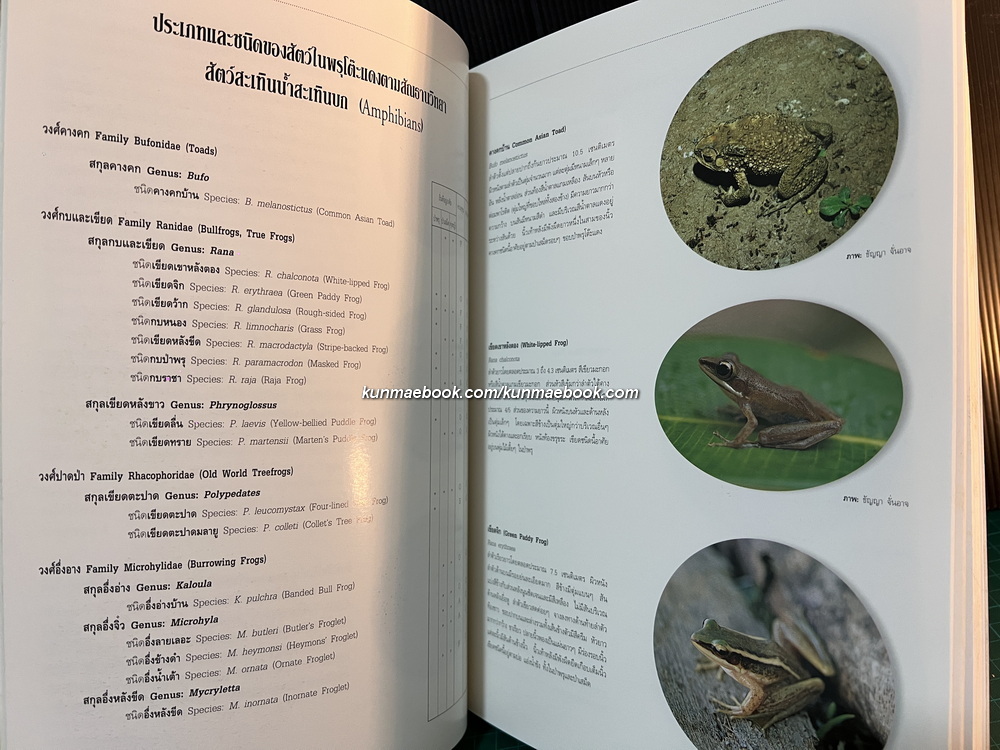 สัตว์ป่าในพรุโต๊ะแดง ( นราธิวาส ) โดย ศูนย์วิจัยและศึกษาธรรมชาติป่าพรุโต๊ะแดง