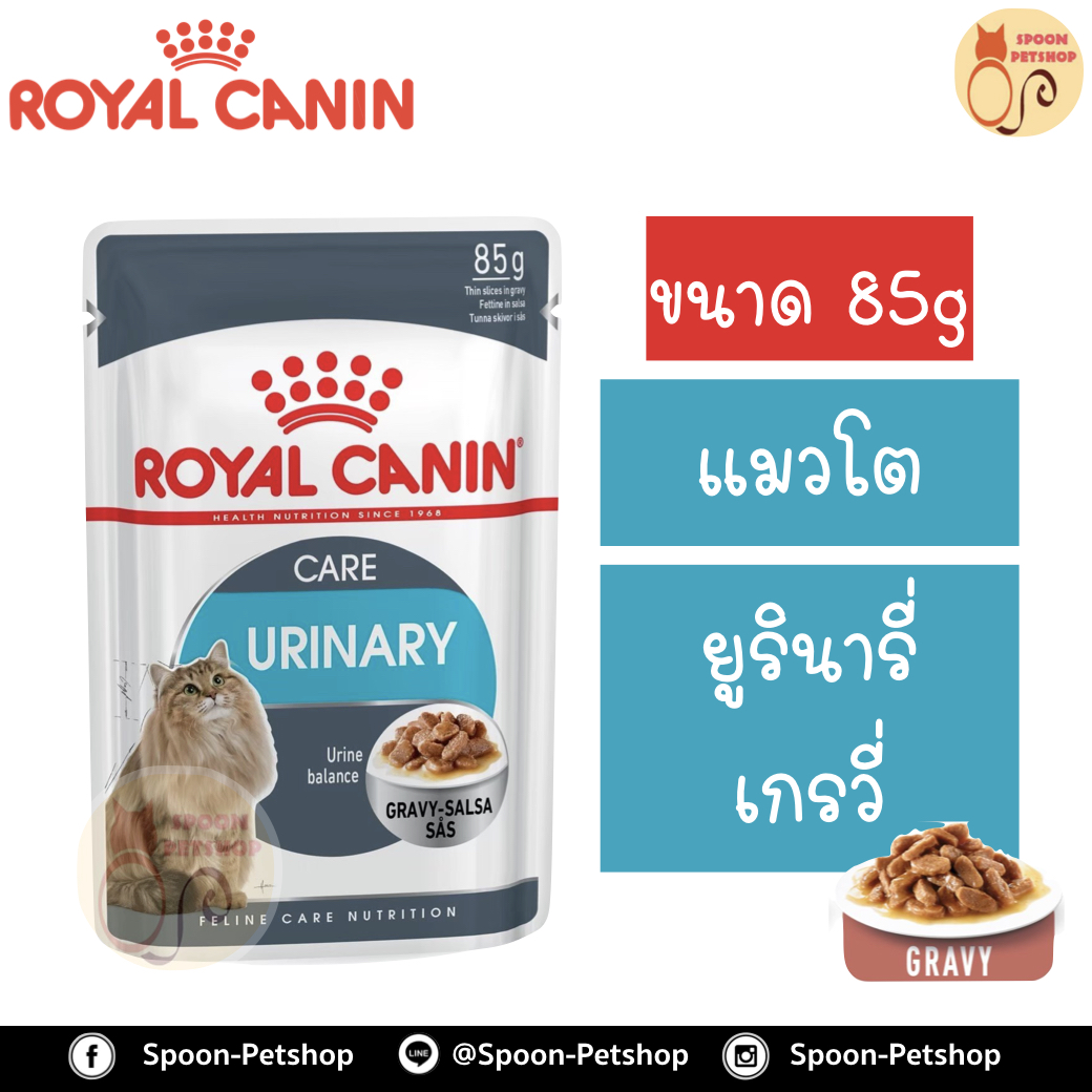 Royal Canin Urinary Gravy อาหารแมว โรยัล คานิน แบบเปียก สำหรับแมวโต 1-10 ปี ป้องกันโรคนิ่วและไต