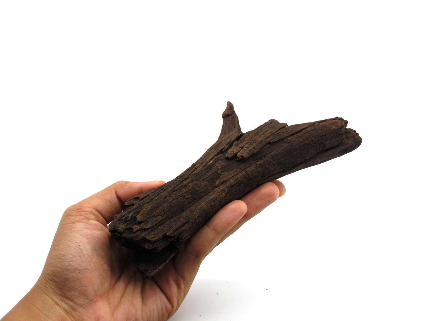 ขอนไม้ตกแต่งตู้ปลาหรือใช้เลี้ยงสัตว์เลื้อยคลาน 066