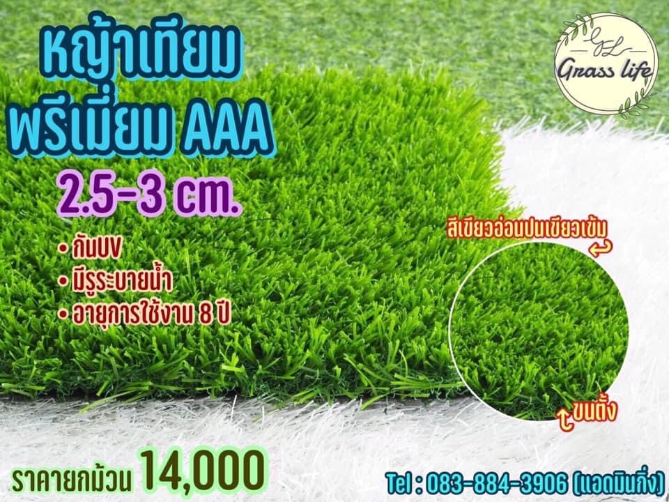หน้าเทียม Premium 2.5-3 CM