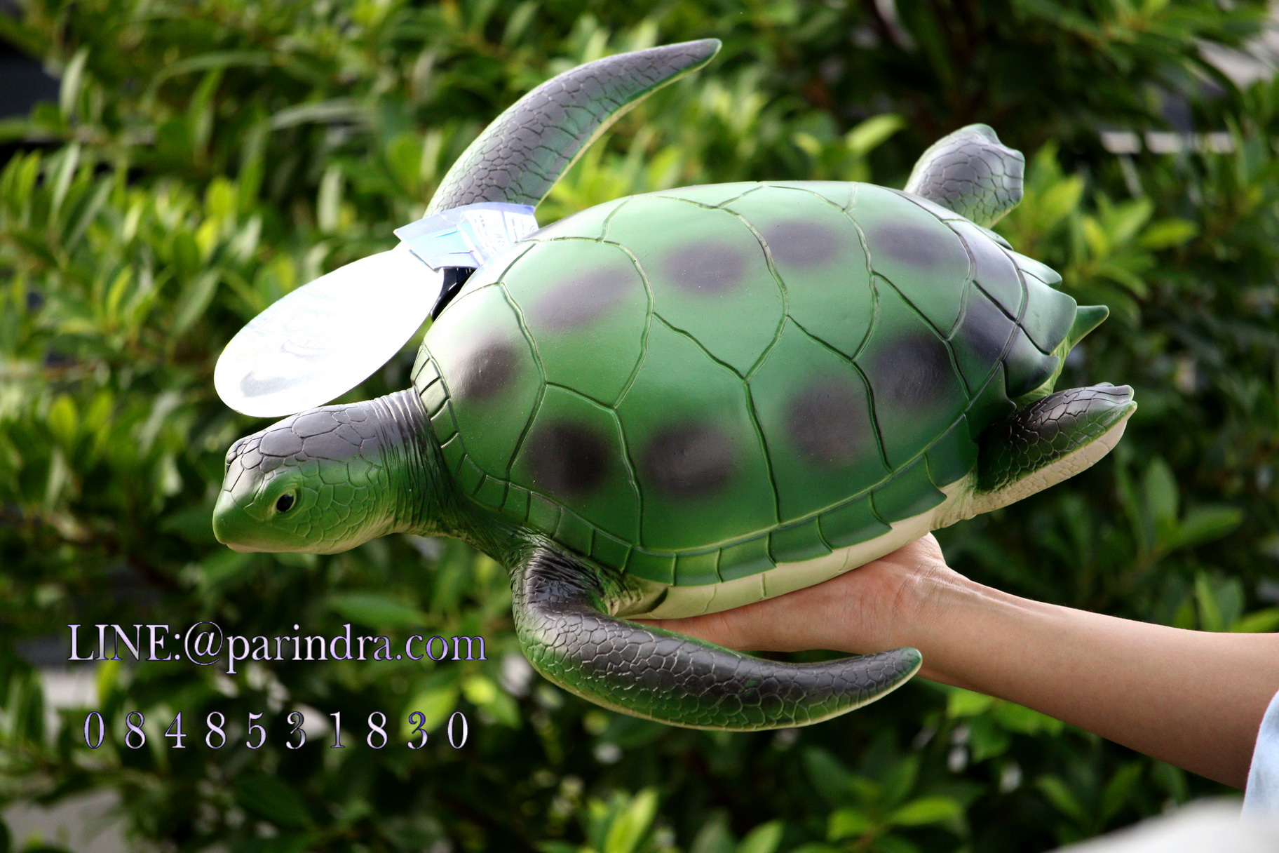 โมเดลเต่าทะเลสีเขียว ขนาด 15 นิ้ว ยางอ่อนนุ่มนิ่ม บีบได้