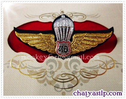 ปีกโดดหอ ทหารอากาศ (มีตัวหนังสือ ทอ.ตรงกลาง)