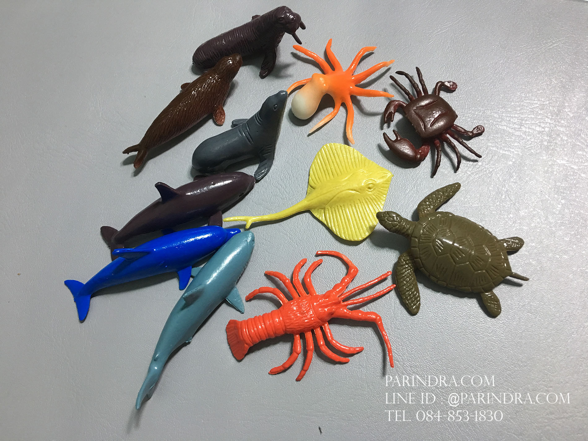 โมเดลสัตว์ทะเล MARINE Animal 11 ชนิด