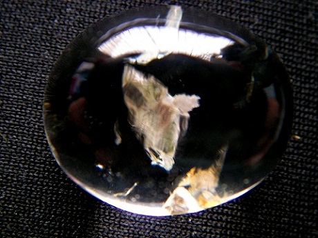 QU0033 แก้วโทน พระธาตุผุดริมแก้ว ดูคล้ายปลา แก้วสวยรวยทรัพย์ ให้โชค ให้ลาภ ด้วยพระธาตุขาวขนาดเม็ดแก้ว 16.83x20.16x12.80 มม. น้ำหนักแก้ว 30.04 ct.