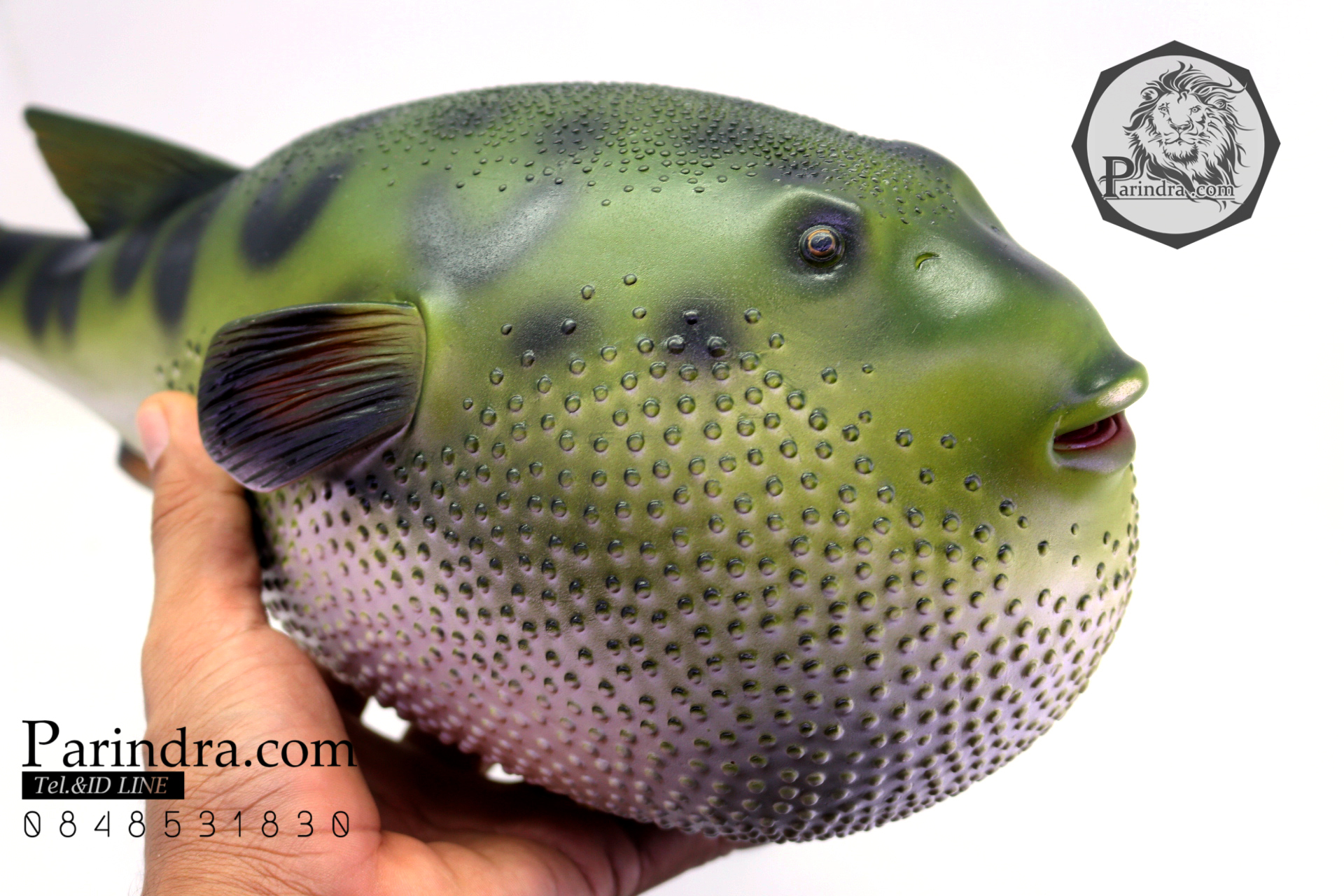 โมเดลปลาปักเป้า PUFFER Fish แบบยางอ่อนนุ่มนิ่ม ตั้งโชว์สวย ขนาดใหญ่ 14 นิ้ว
