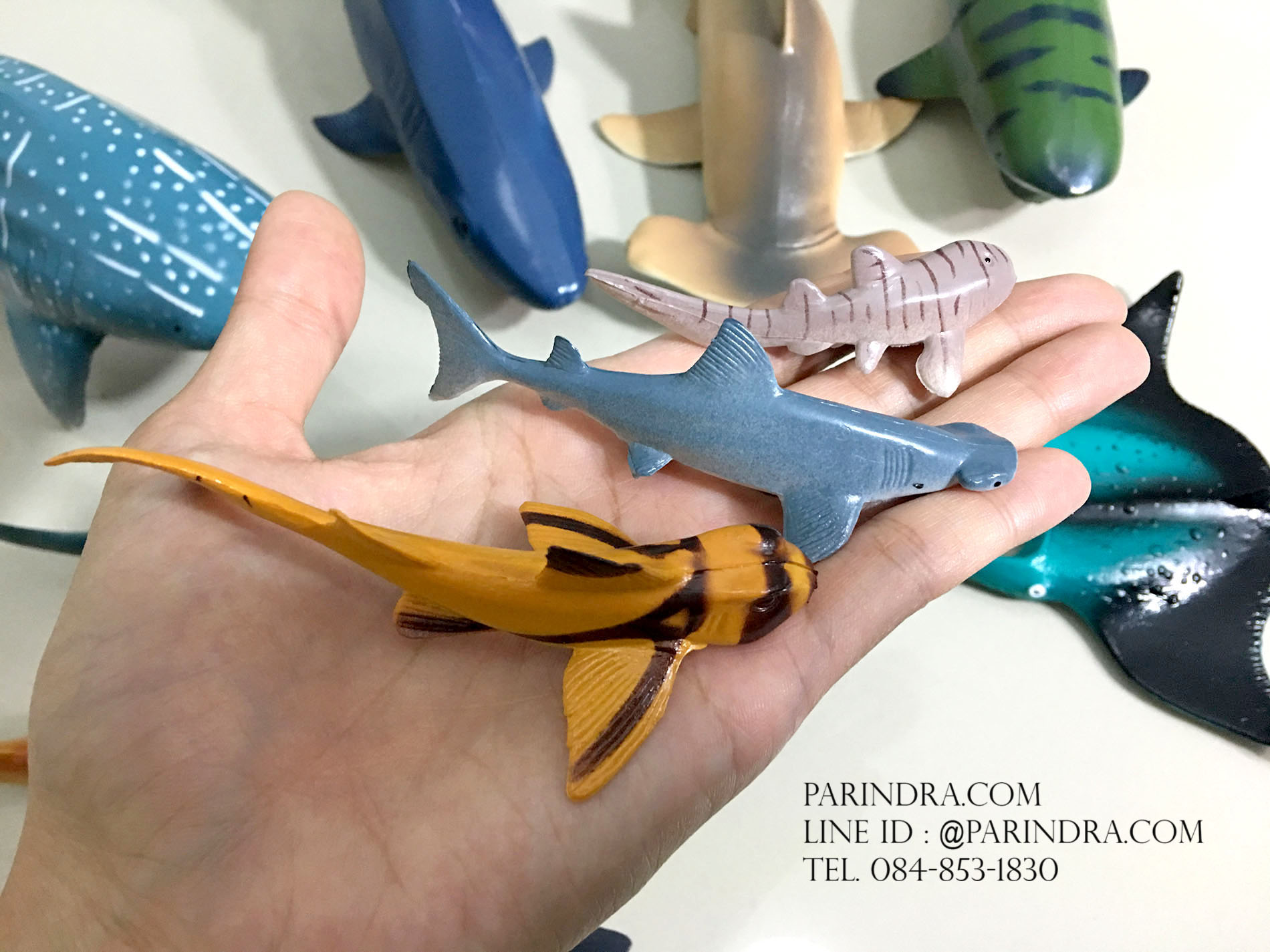 โมเดลสัตว์ทะเล ชุด Ocean World กลุ่ม ฉลาม หลากหลายสายพันธุ์