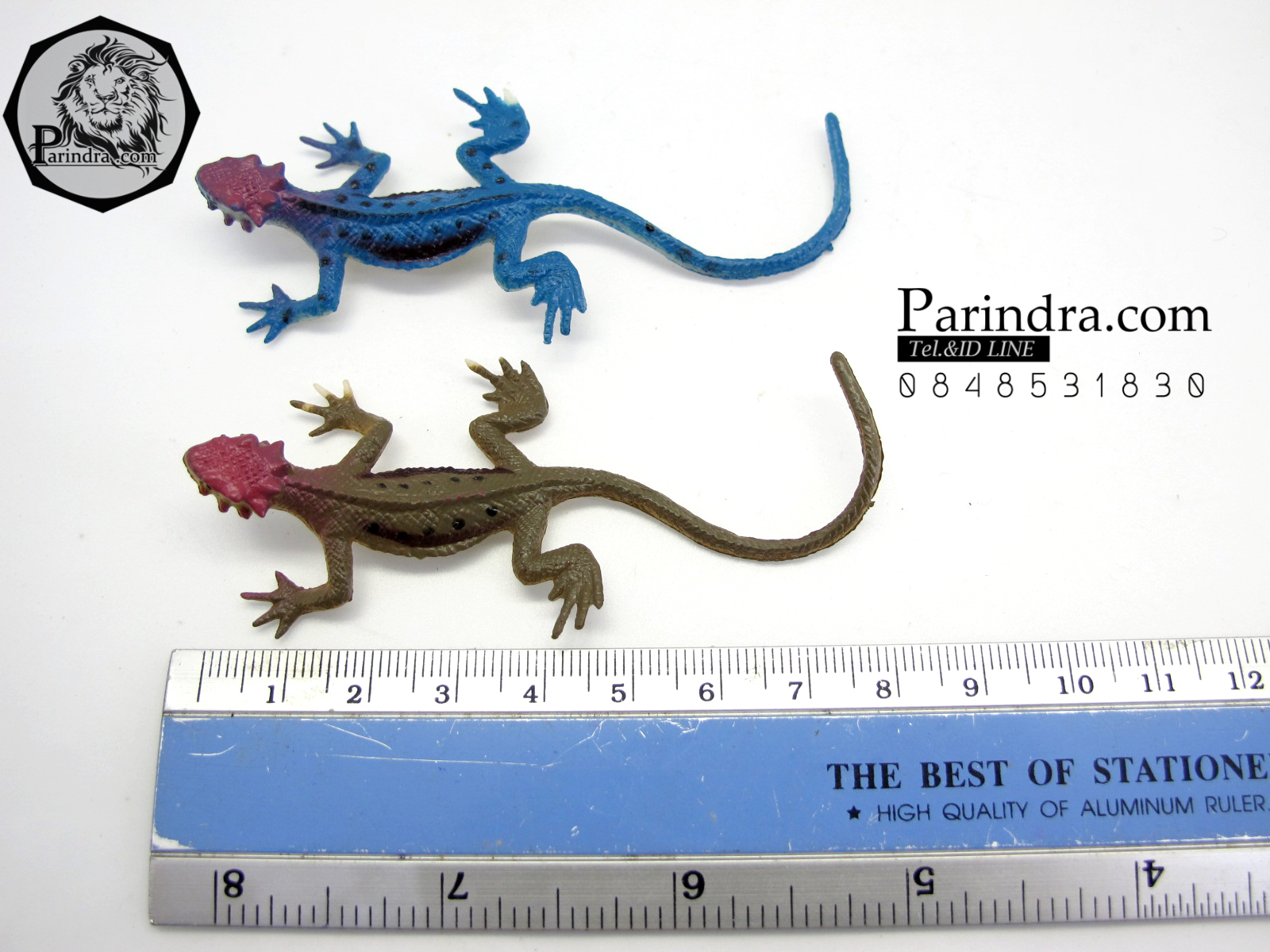 โมเดลกิ้งก่า Educational Toys LIZARD ครบชุด มี 12 แบบ จำนวน 12 ตัว