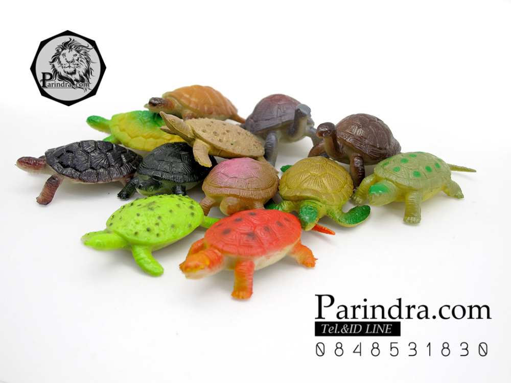 โมเดลเต่าชุด