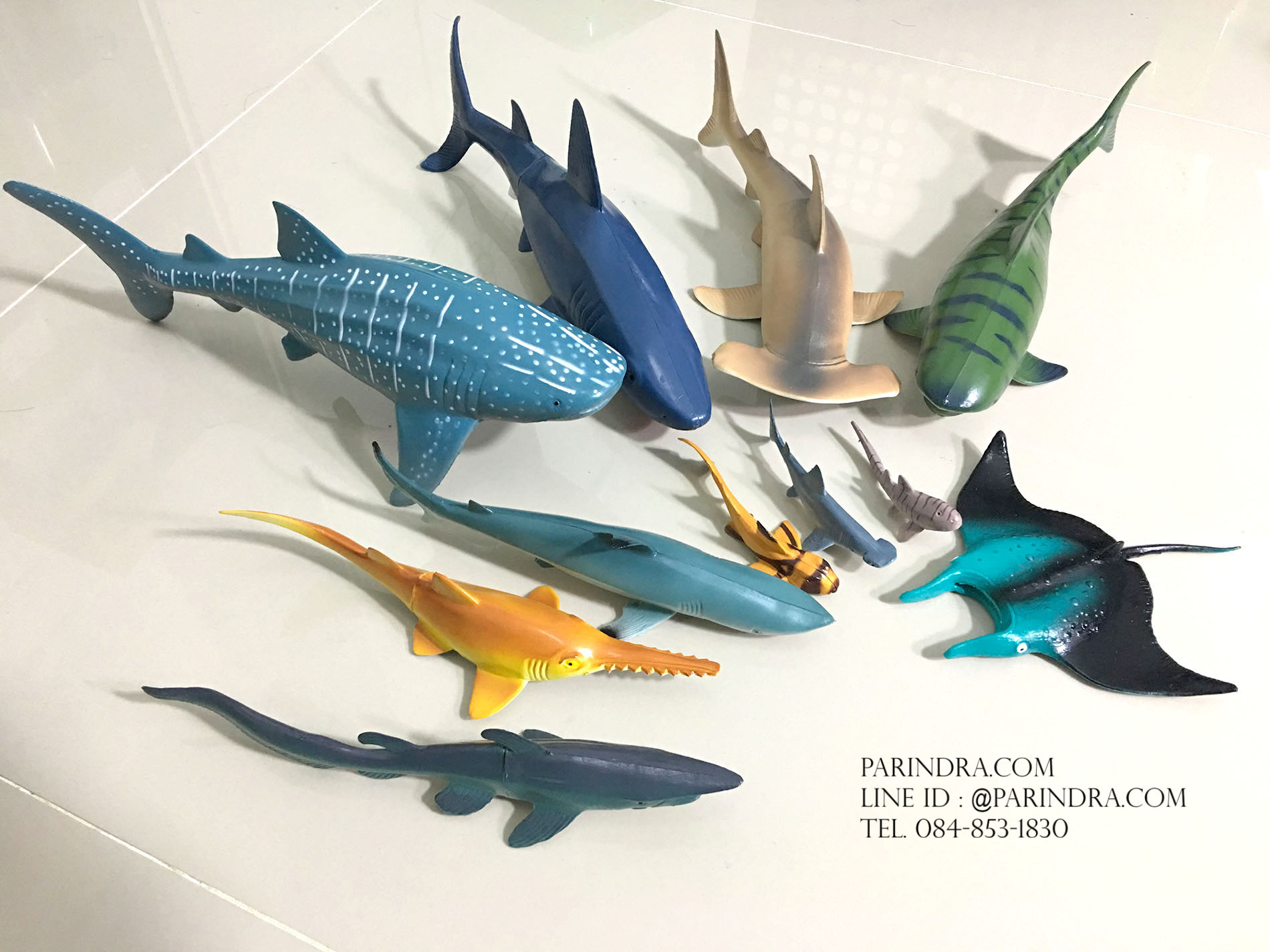 โมเดลสัตว์ทะเล ชุด Ocean World กลุ่ม ฉลาม หลากหลายสายพันธุ์