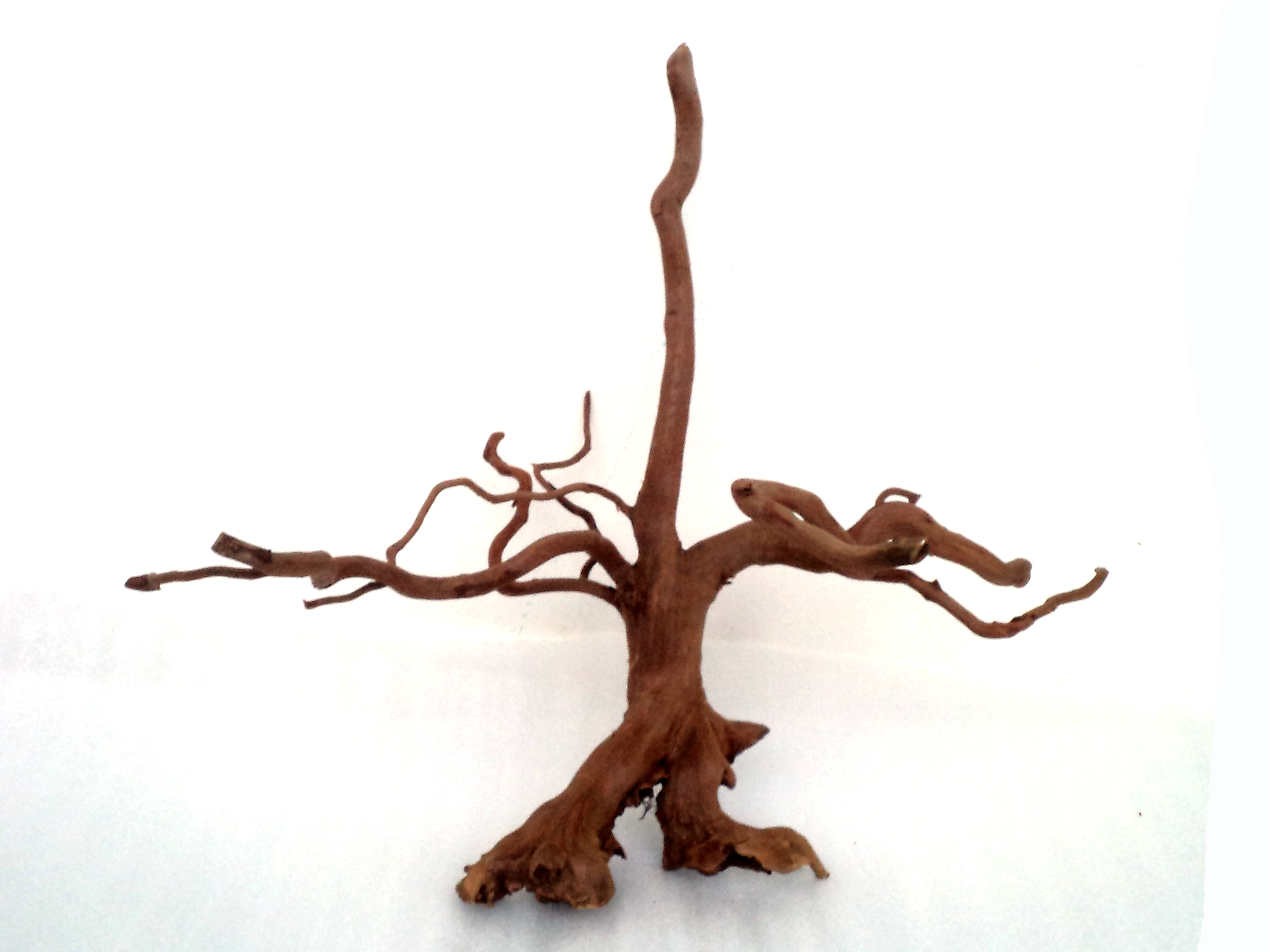 รากไม้แดงตกแต่งตู้ปลาหรือใช้เลี้ยงสัตว์เลื้อยคลาน ขนาดใหญ่ สูง 17 นิ้ว 029