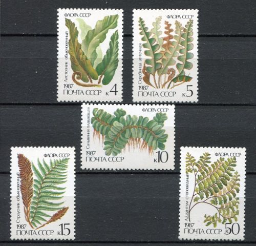แสตมป์รัสเซีย ชุด Ferns Plants ปี 1987- Russia