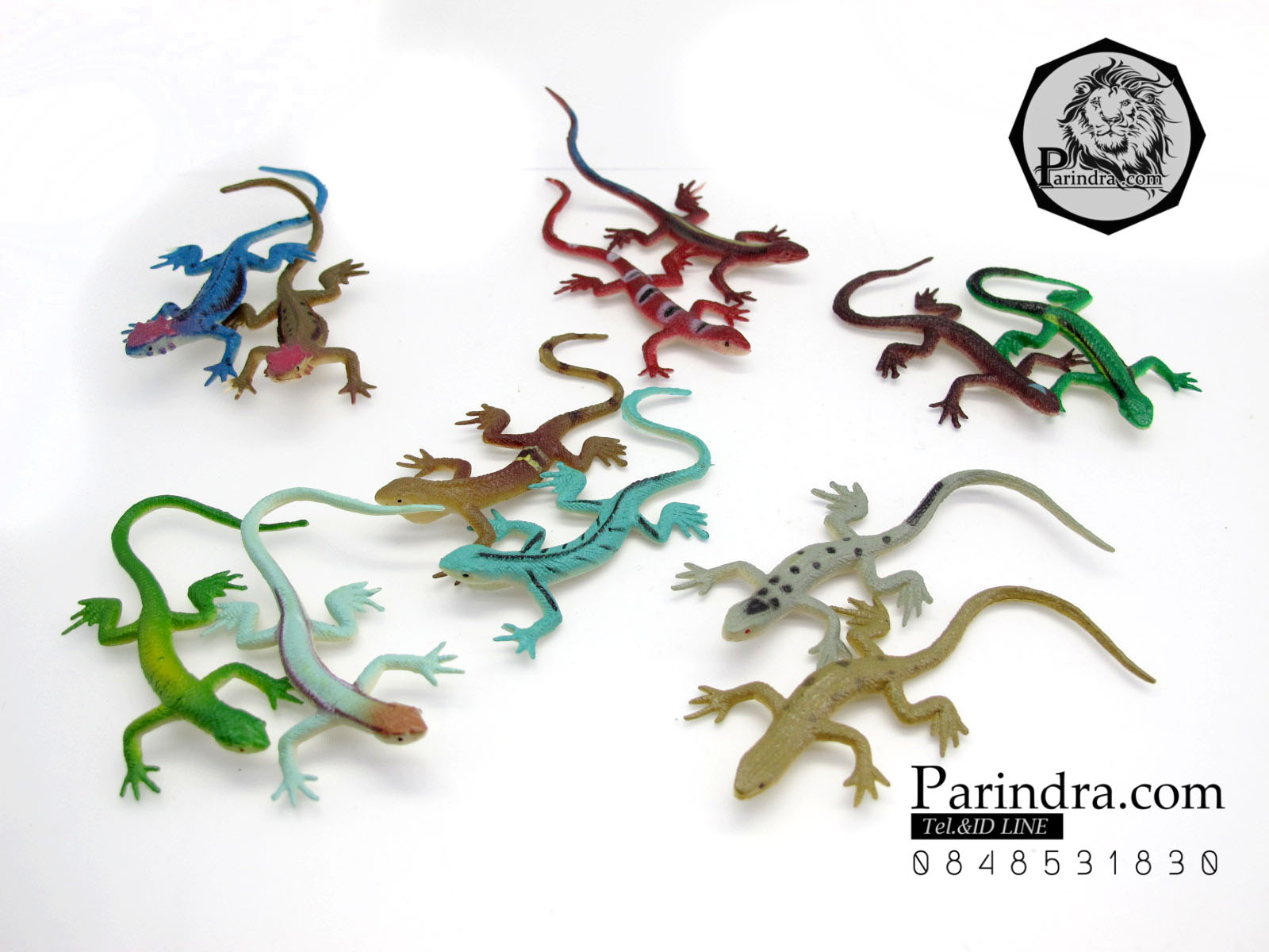 โมเดลกิ้งก่า Educational Toys LIZARD ครบชุด มี 12 แบบ จำนวน 12 ตัว