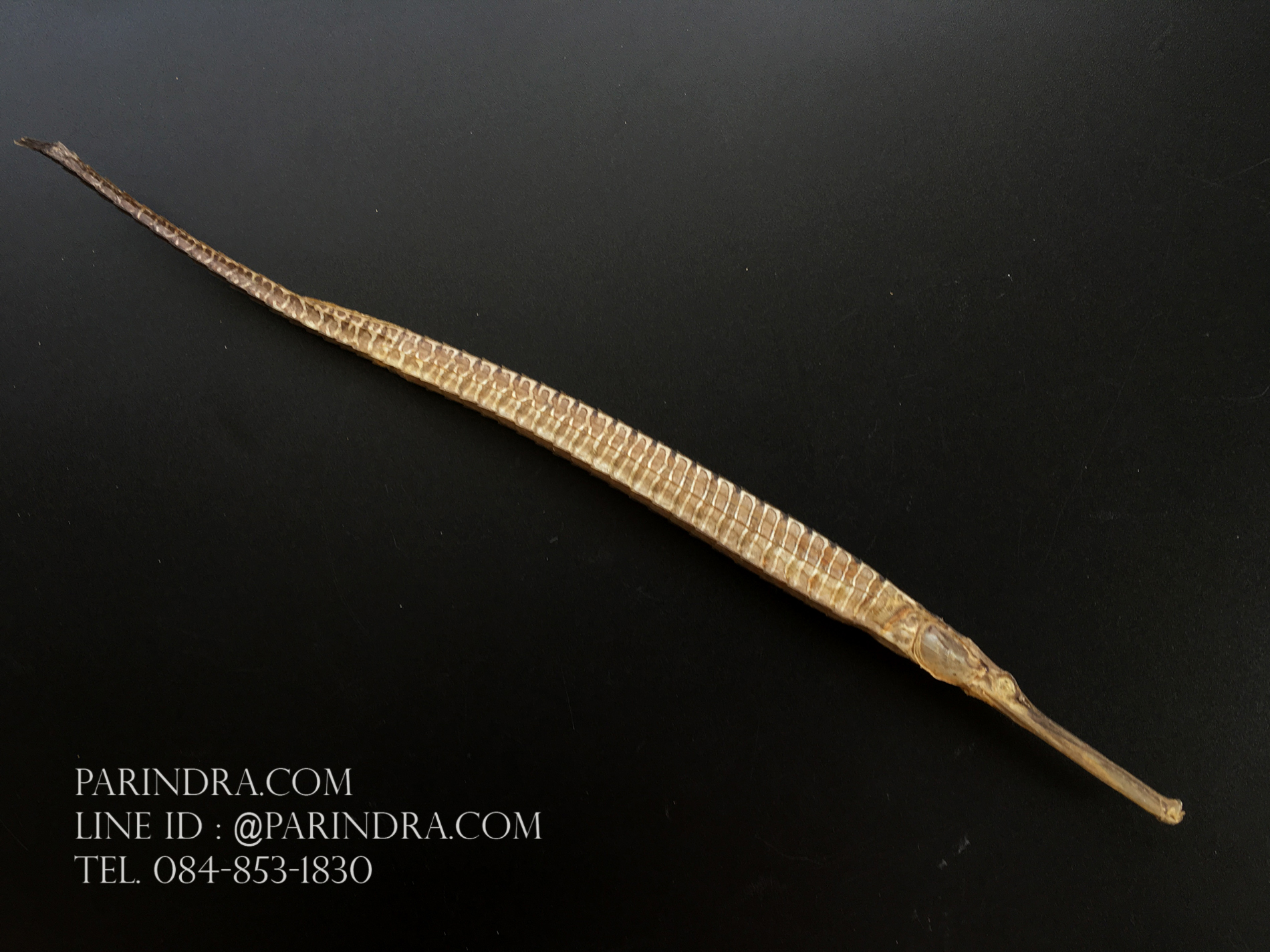 ปลาจิ้มฟันจรเข้ตากแห้งสนิท #FPF001