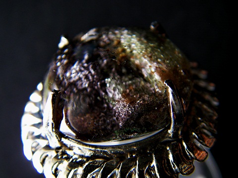 QU0036 แก้วปลวกวรรณสาม ประกอบพร้อมสามวรรณะ คือปวกเขียว ปวกทองและปวกแดง(ปวกครั่ง) เนื้อแก้วใสสวย ขนาด17.30x17.96x10.48 มม. น้ำหนัก 20.89 ct. ขนาดแหวน53