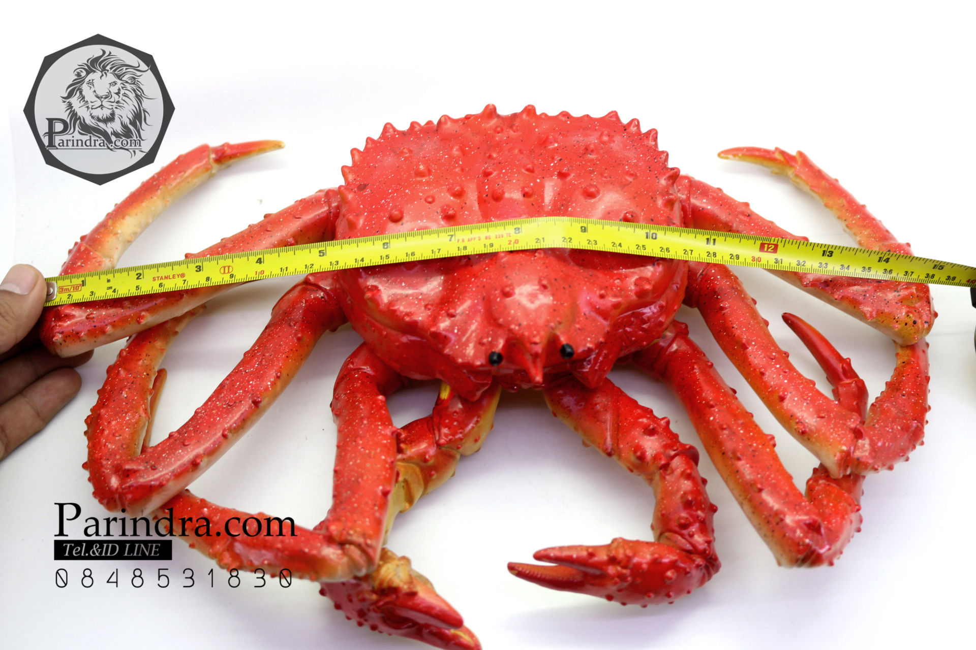 โมเดลปูอะลาสก้า Alaska Crab ตั้งโชว์สวย ขนาดใหญ่ 14 นิ้ว