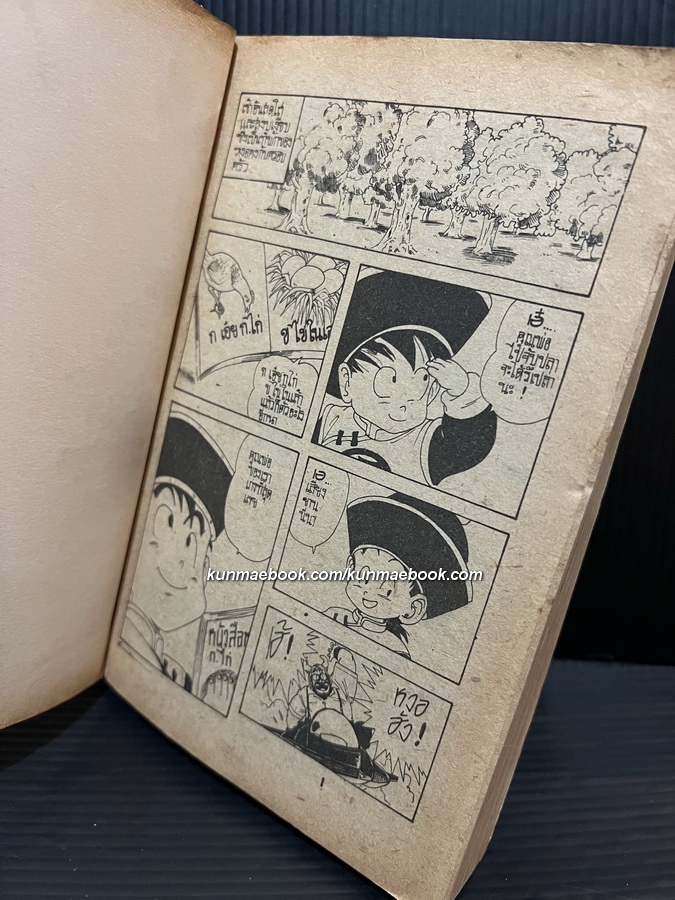 Dragonball ตอนยอดปีศาจร้ายอมตะ ( เล่มเดียวจบ )