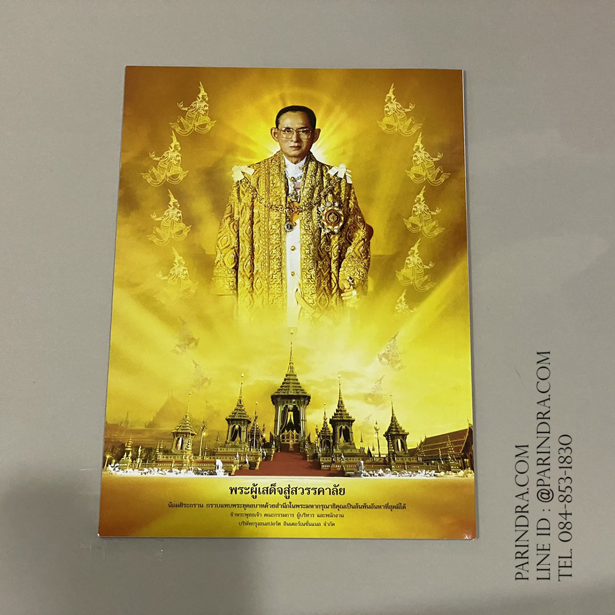 นิตยสาร เย่อกับปลา หน้าปก ฤดูตกปลาช่อนนา ฉบับที่ 235 เดือนพฤษจิกายน ปี 2560