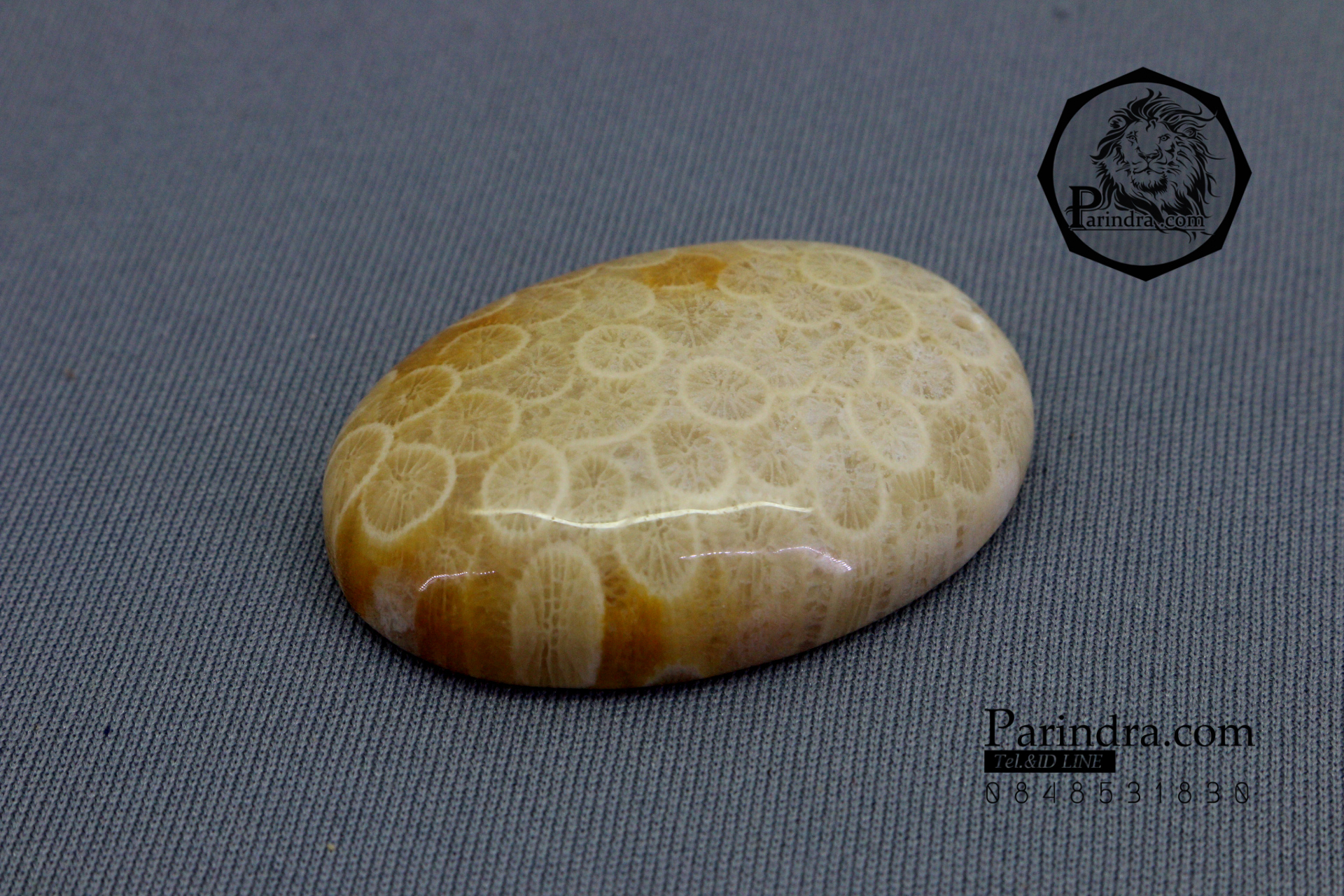 ฟอสซิลหินปะการังขัด Fossil Coral ใหญ่และหนา สำหรับห้อยคอ หรือ พวงกุญแจ คัดสวยพิเศษ #CRF013