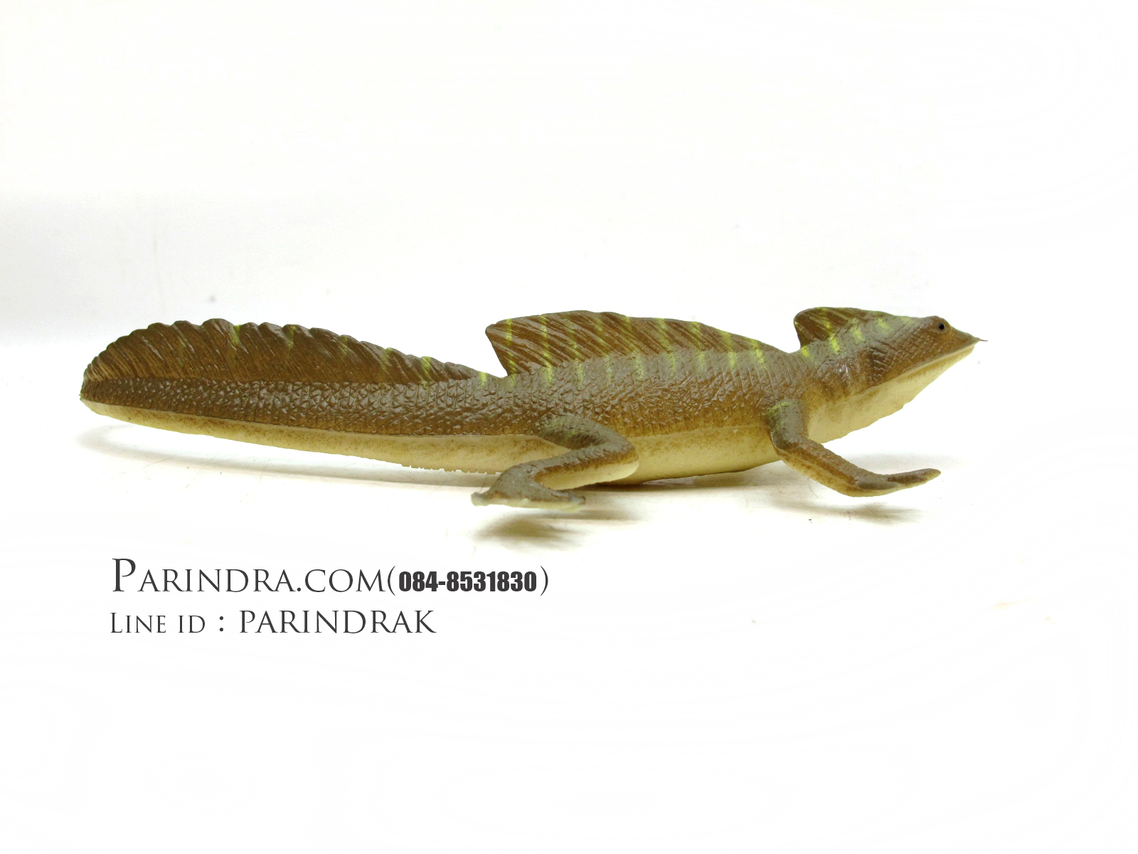 โมเดลกิ้งก่าบาซิลิสก์ Basilisk Lizard model