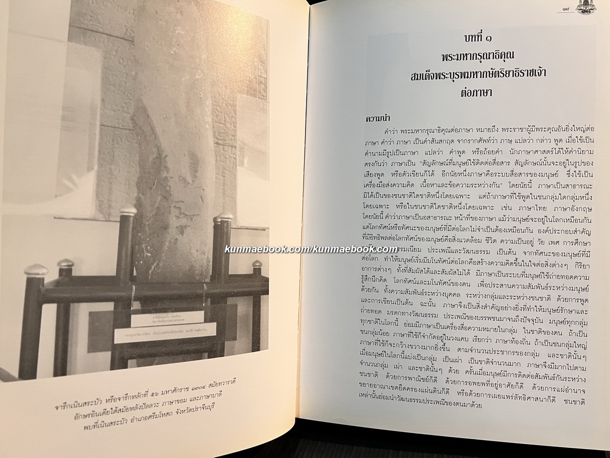 พระมหากรุณาธิคุณต่อภาษา วรรณกรรม และห้องสมุด