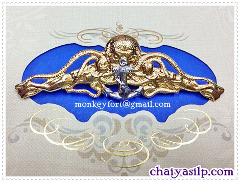 เครื่องหมาย ปีกทหารเรือ