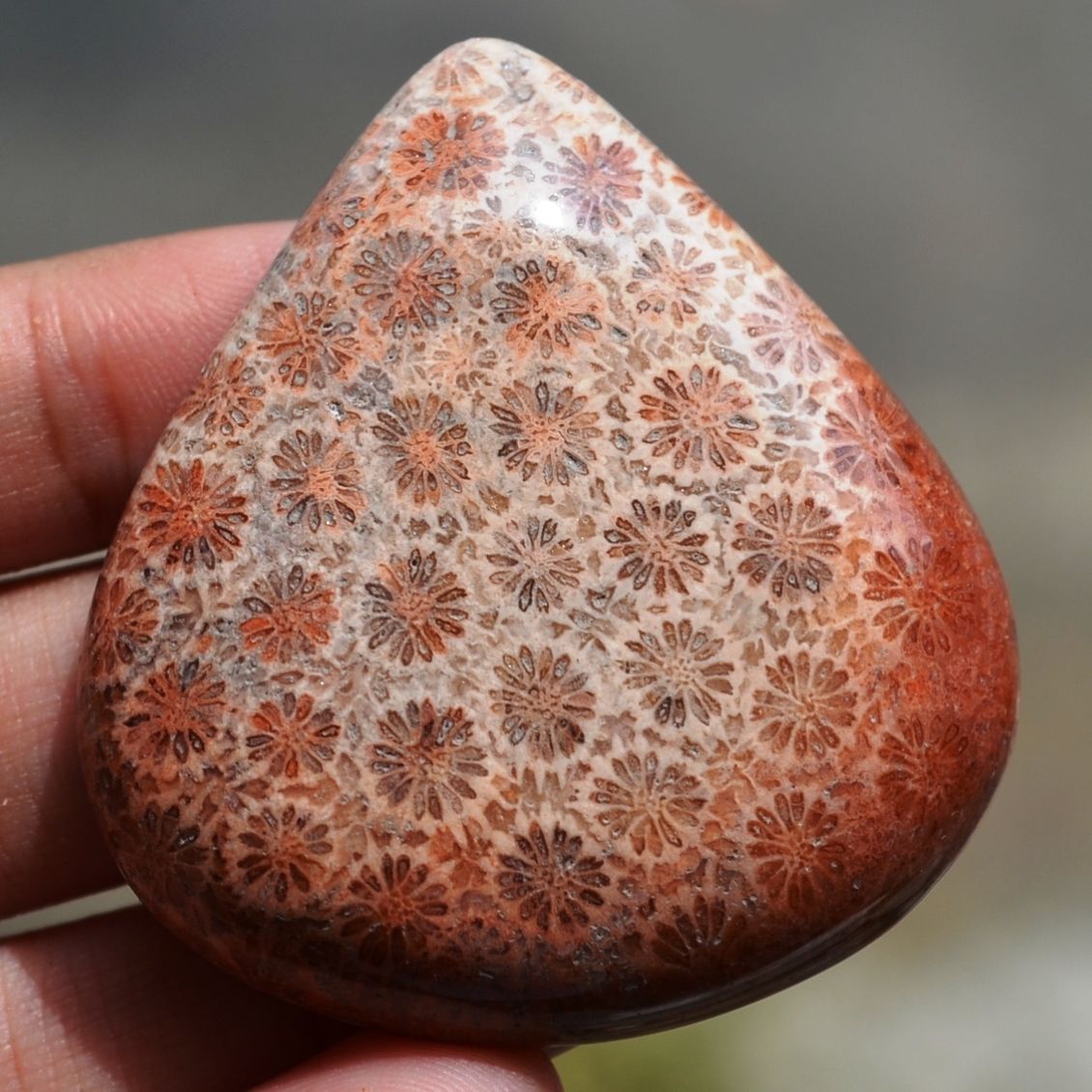 ฟอสซิลหินปะการังขัด Fossil Coral ใหญ่และหนา สำหรับห้อยคอ หรือ พวงกุญแจ คัดสวยพิเศษ #CRF032