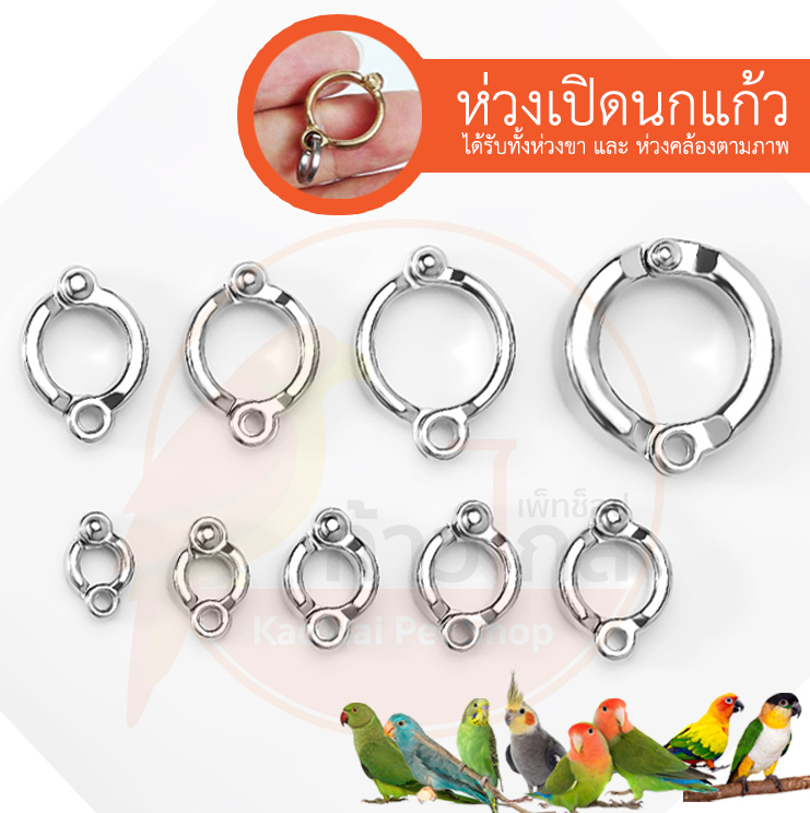 ห่วงเปิดนกแก้ว ห่วงขานกแก้ว สำหรับฟอพัส เลิฟเบิร์ด กรีนชีค ซันคอนัวร์ ไคท์ กระตั๋ว มาคอว์