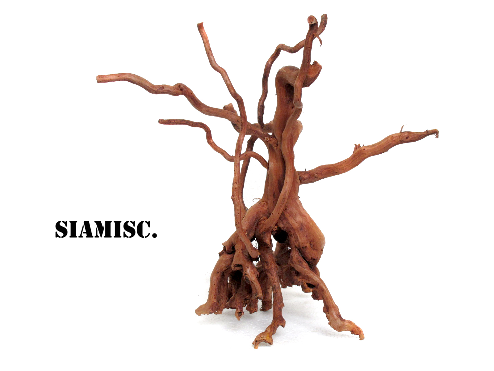 รากไม้แดงตกแต่งตู้ปลาหรือใช้เลี้ยงสัตว์เลื้อยคลาน 024