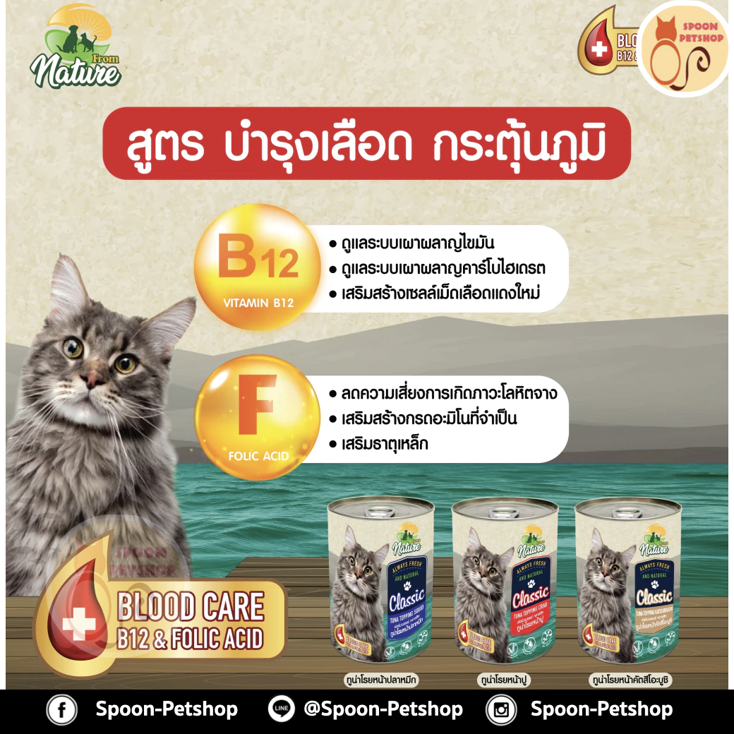 From Nature อาหารเปียก กระป๋อง ฟรอมเนเจอร์ สำหรับแมว สูตรบำรุงเลือด รสทูน่าโรยหน้าปลาหมึก ขนาด 400 กรัม