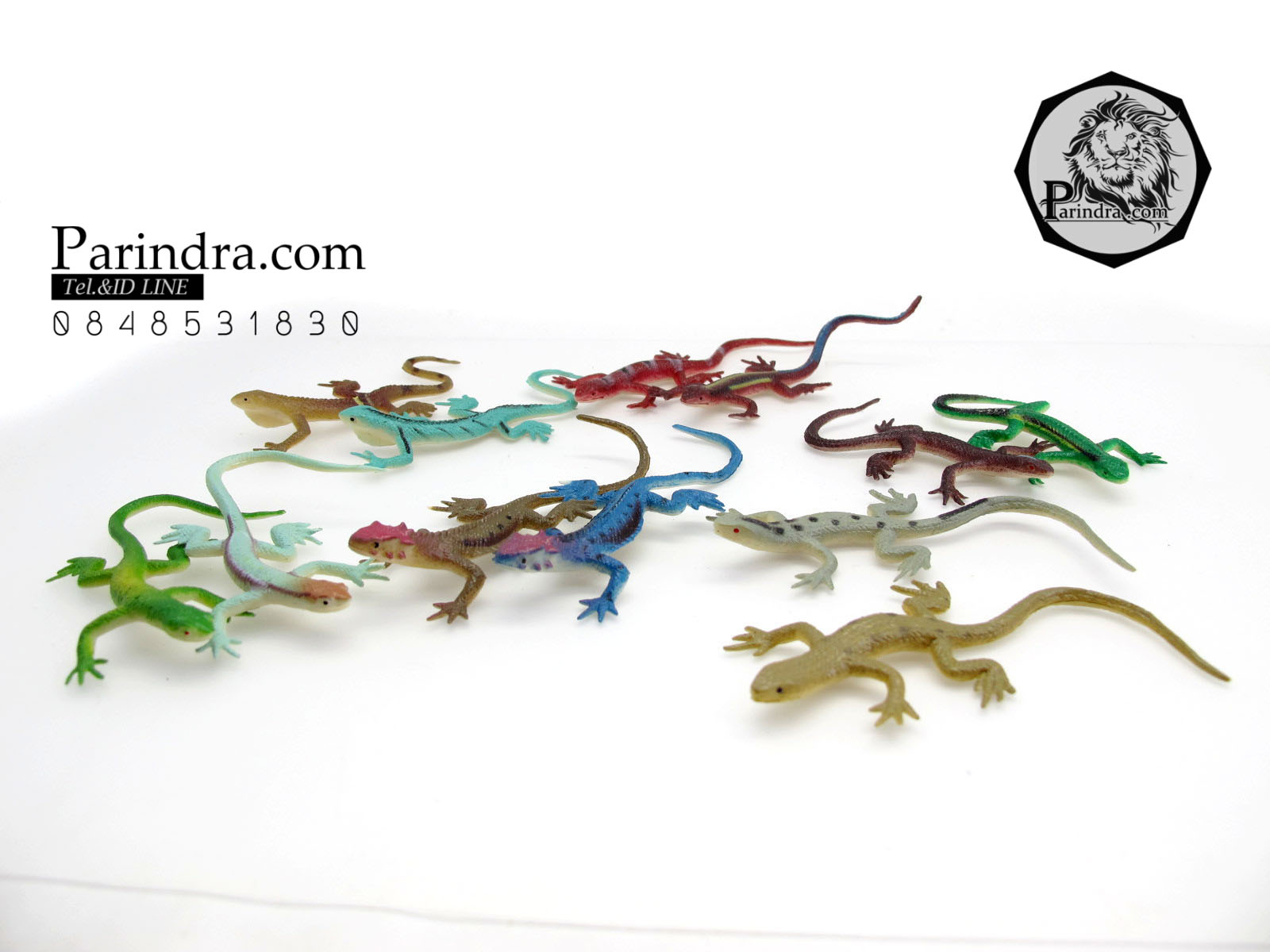 โมเดลกิ้งก่า Educational Toys LIZARD ครบชุด มี 12 แบบ จำนวน 12 ตัว